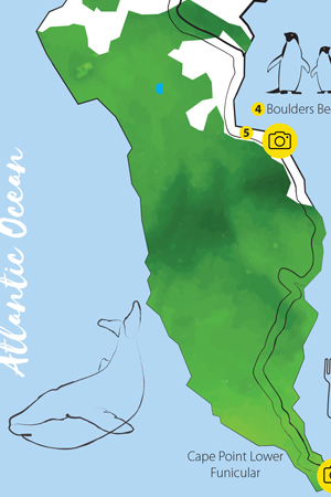 Wine Route Map